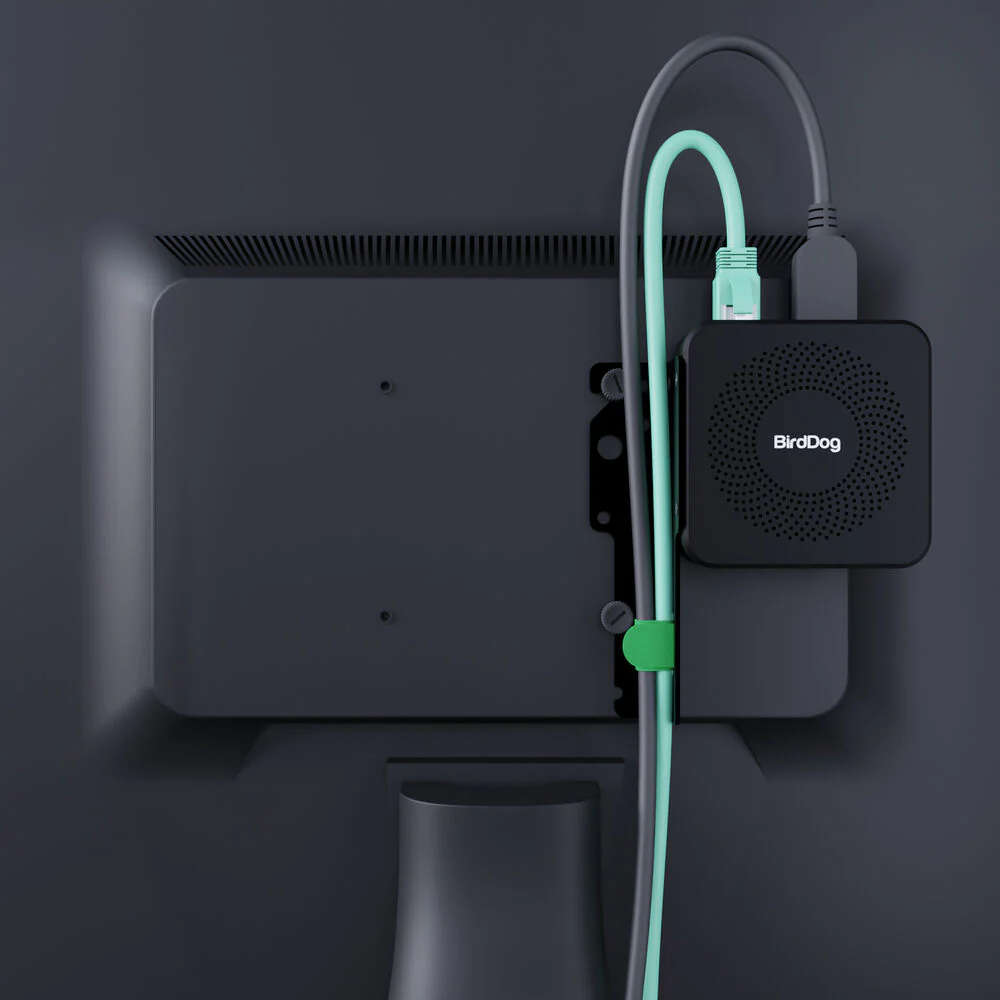 BirdDog Play Pro 4K NDI Player - Image 13