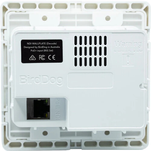 BirdDog Wallplate Dual Input - Image 3