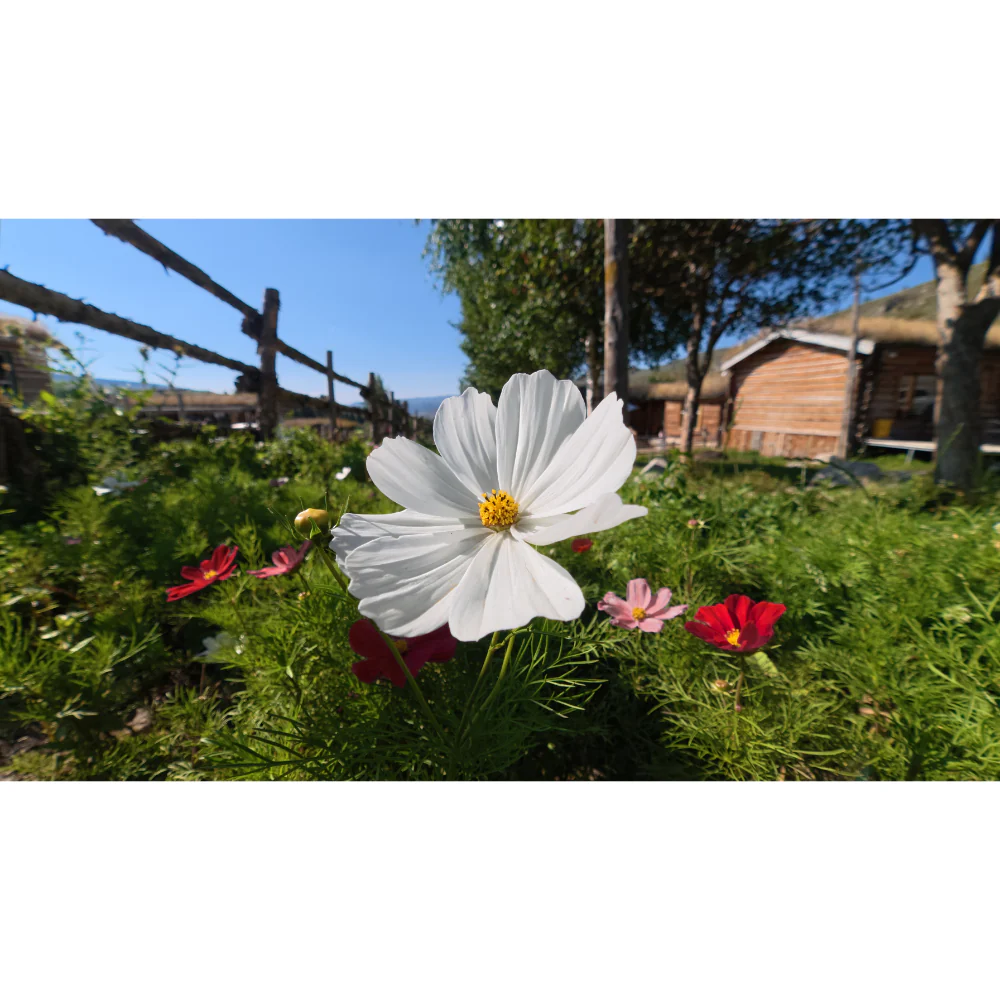 DJI Osmo Action 6 Standard Combo - Image 13