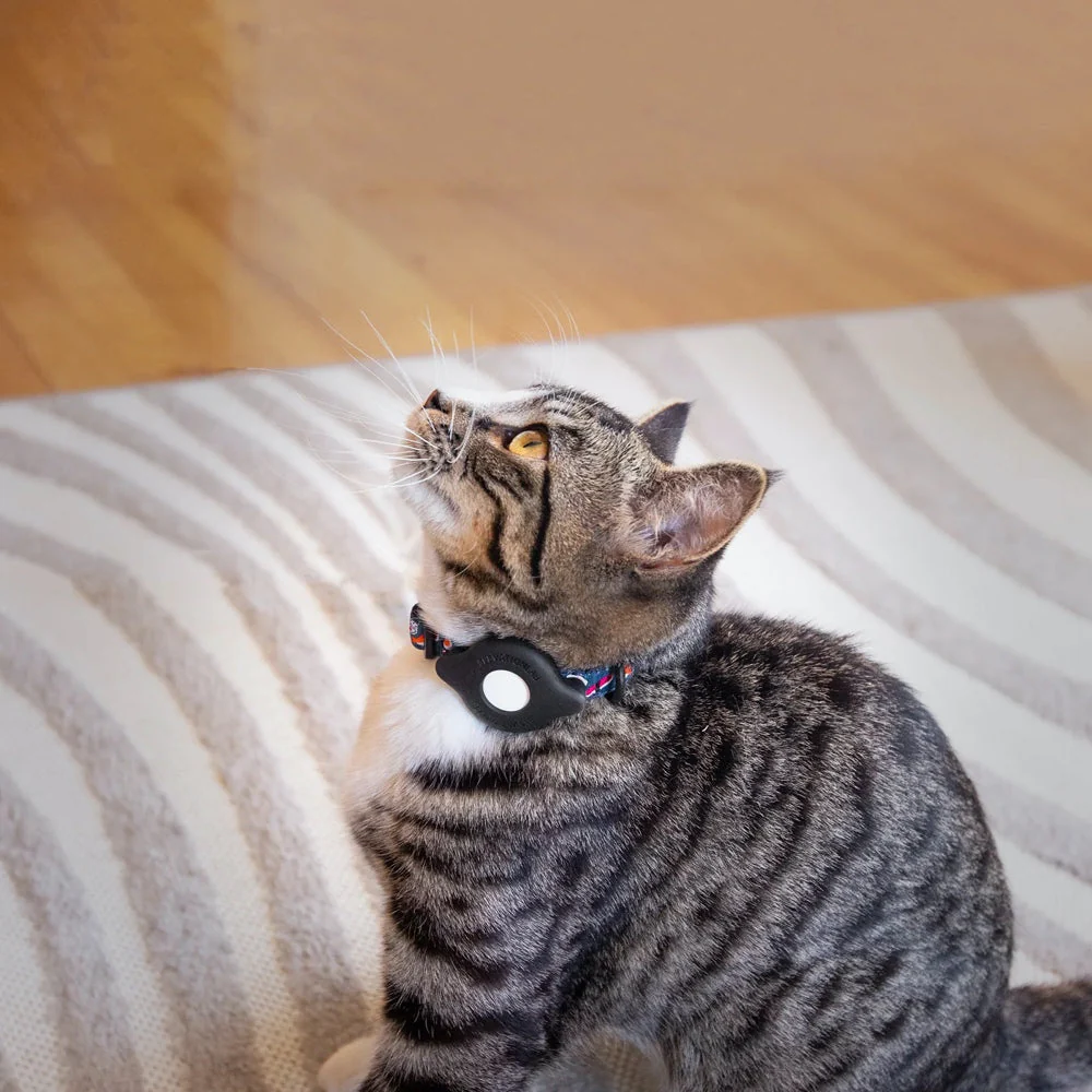 Elevation Lab TagVault: Cat Collar Mount for AirTag - Image 4