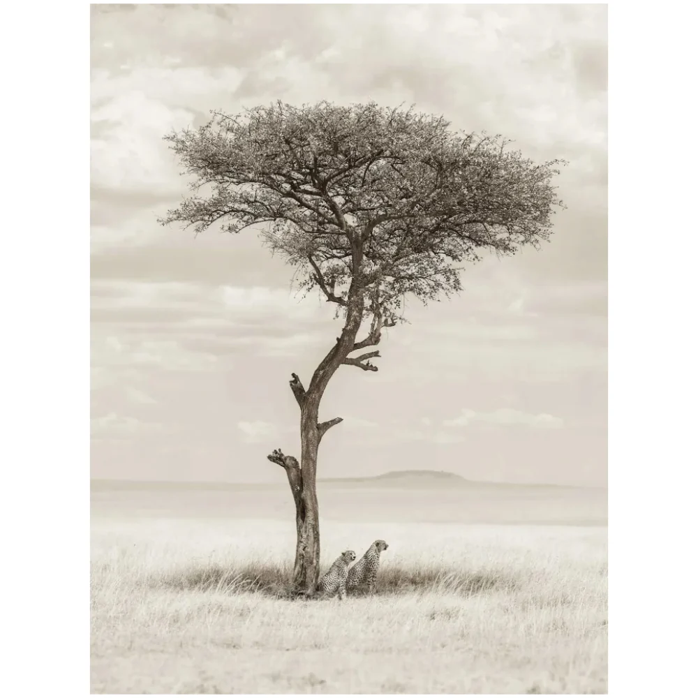 Ilford / Tecco FineArt Rag 24" 60.96cm x 15m Roll PFR295 - Image 2