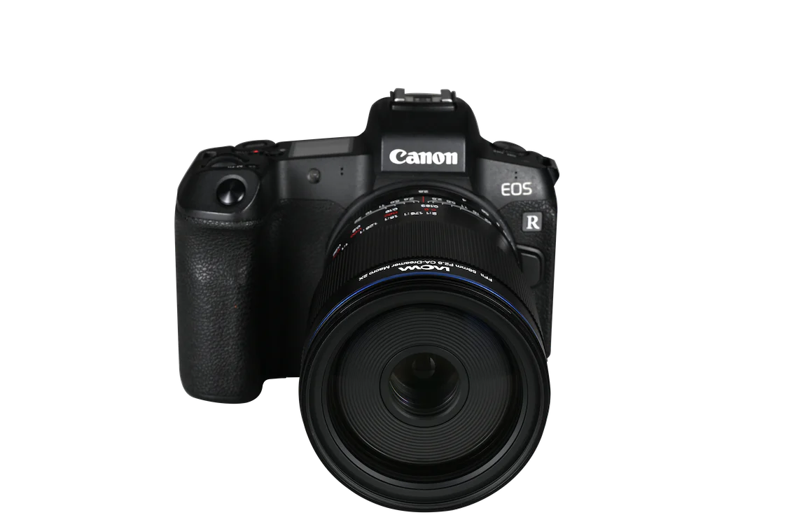 Laowa 58mm f/2.8 2X Ultra Macro APO - Canon RF - Image 7