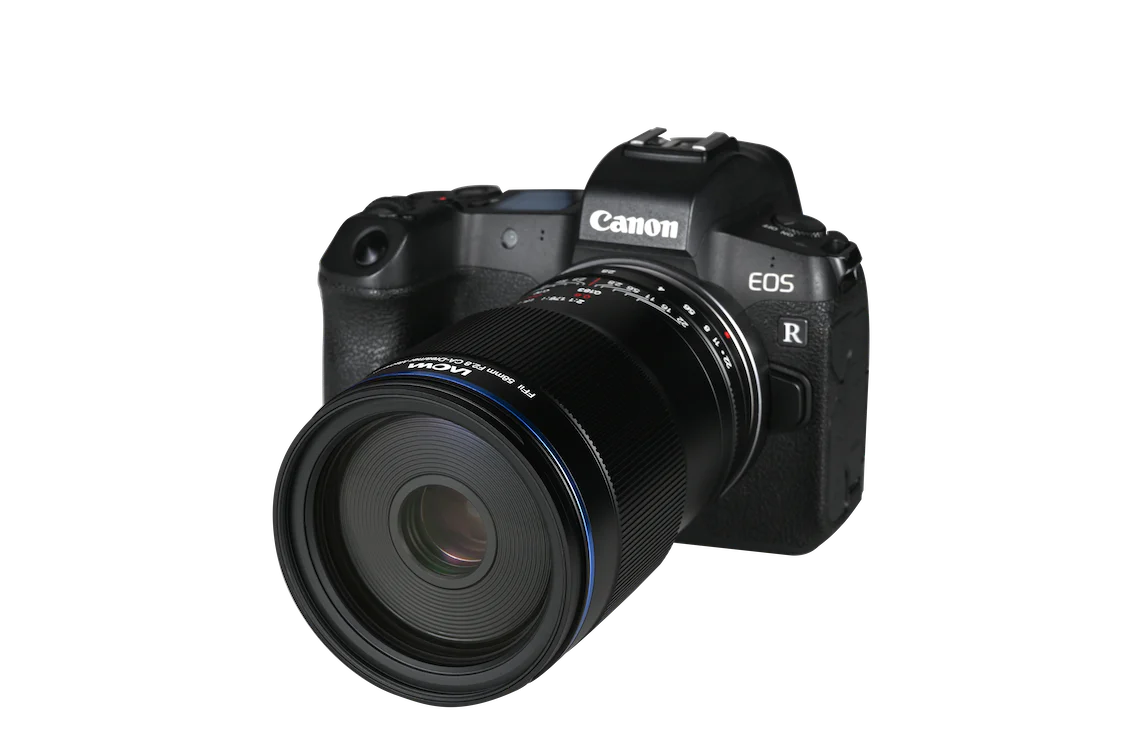 Laowa 58mm f/2.8 2X Ultra Macro APO - Canon RF - Image 8