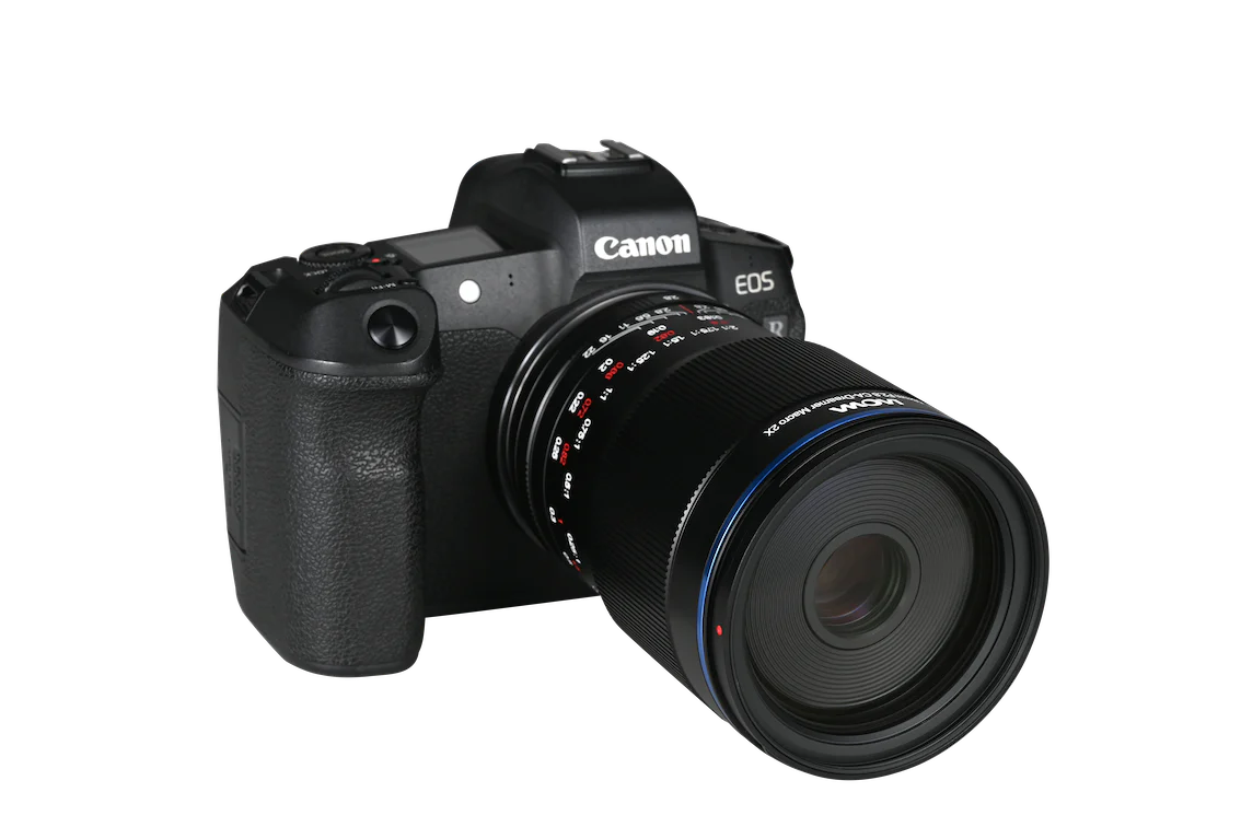 Laowa 58mm f/2.8 2X Ultra Macro APO - Canon RF - Image 9
