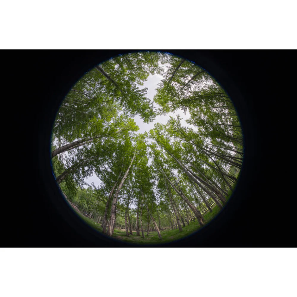 Laowa 8-15mm f/2.8 Fisheye Lens - Image 16