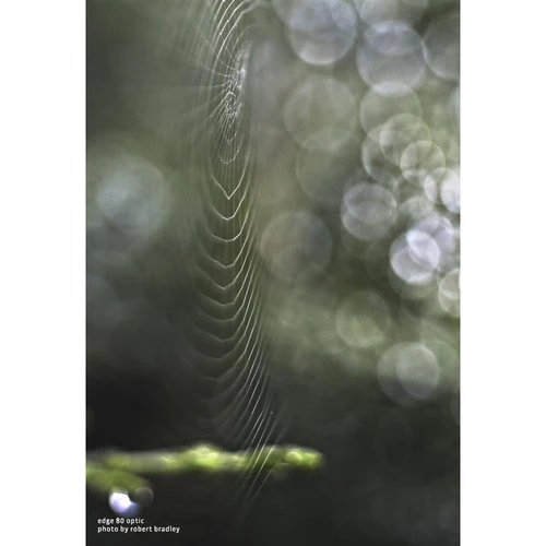 Lensbaby Composer Pro II with Edge 80 Optic For Canon EF - Image 11
