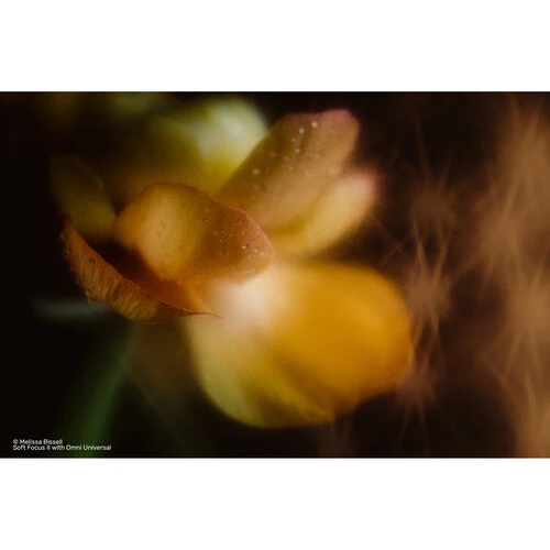 Lensbaby OMNI Universal Expansion Pack w/ Reflections - Image 18