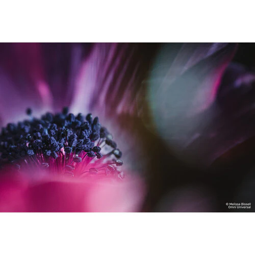 Lensbaby OMNI Universal Expansion Pack w/ Reflections - Image 20