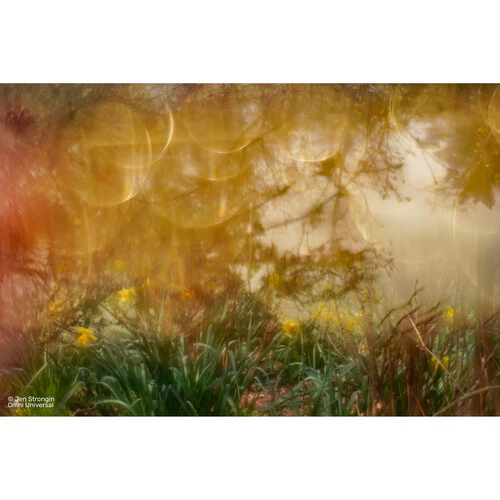 Lensbaby OMNI Universal Expansion Pack w/ Reflections - Image 21