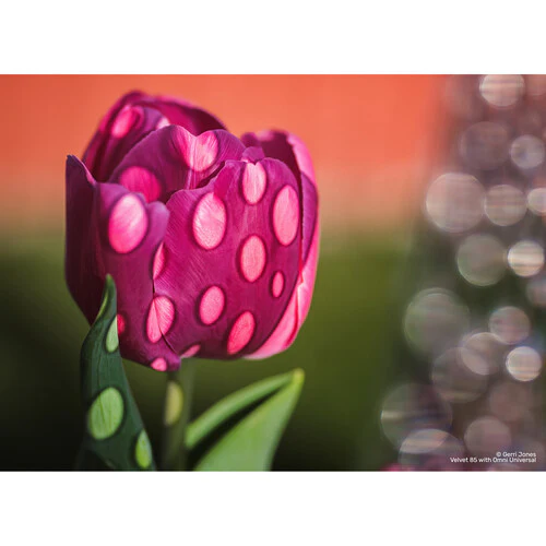 Lensbaby OMNI Universal Expansion Pack w/ Reflections - Image 25