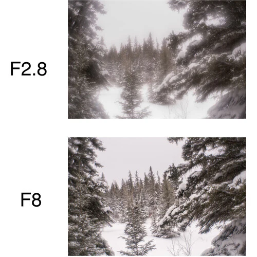 Lensbaby Soft Focus II 50 Optic - Image 19