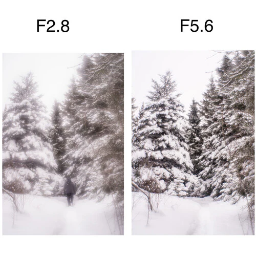 Lensbaby Soft Focus II 50 Optic - Image 20