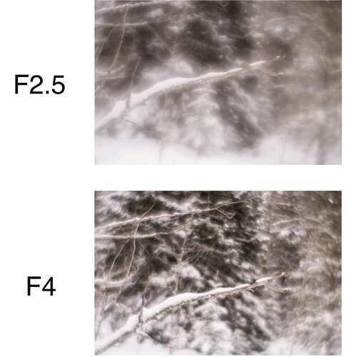 Lensbaby Soft Focus II 50 Optic - Image 22