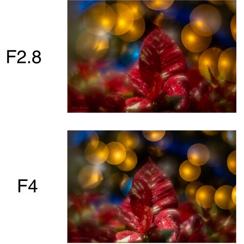 Lensbaby Soft Focus II 50 Optic - Image 23
