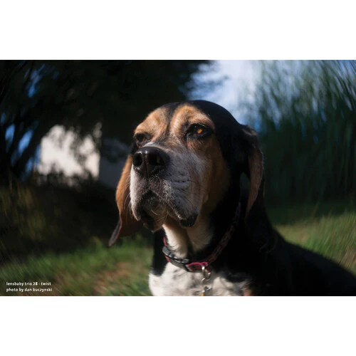 Lensbaby Trio 28mm f/3.5 Lens for Fujifilm X - Image 12