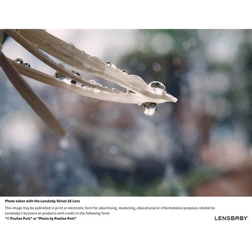 Lensbaby Velvet 56mm f/1.6 Lens for Nikon F - Image 19