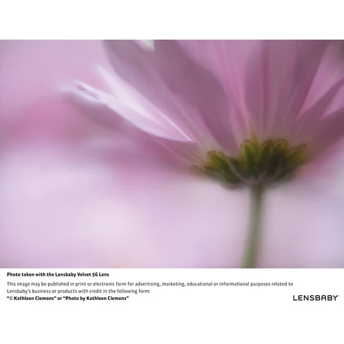Lensbaby Velvet 56mm f/1.6 Lens for Nikon F - Image 20
