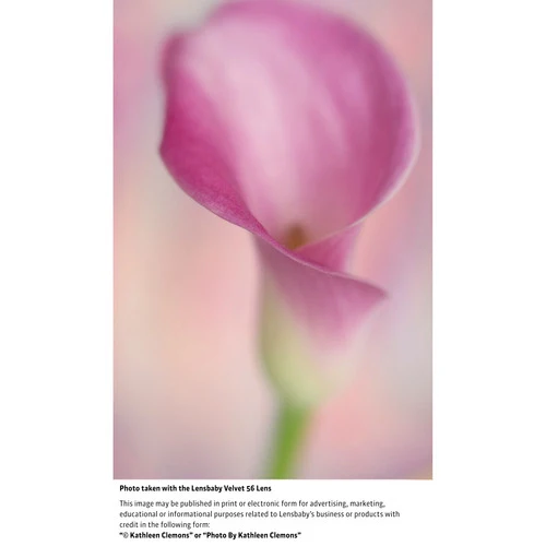Lensbaby Velvet 56mm f/1.6 Lens for Nikon F - Image 21