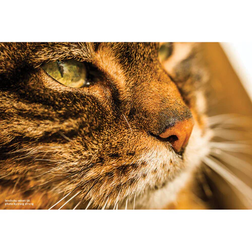 Lensbaby Velvet 56mm f/1.6 Lens for Nikon Z - Image 11