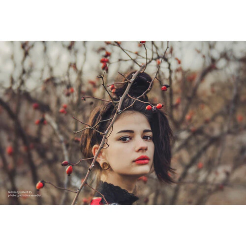 Lensbaby Velvet 85mm f/1.8 Lens for Sony E - Image 3