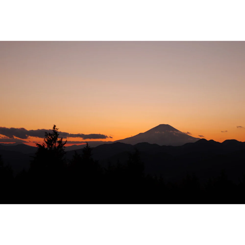 Panasonic Lumix S1 II Mirrorless Camera - Image 12