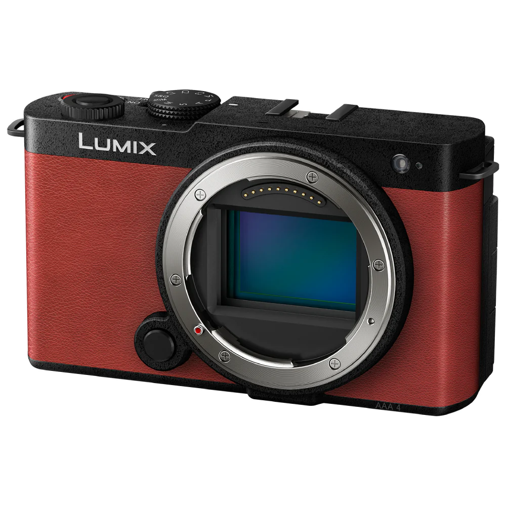 Panasonic Lumix S9 Mirrorless Camera Body Only - Image 24