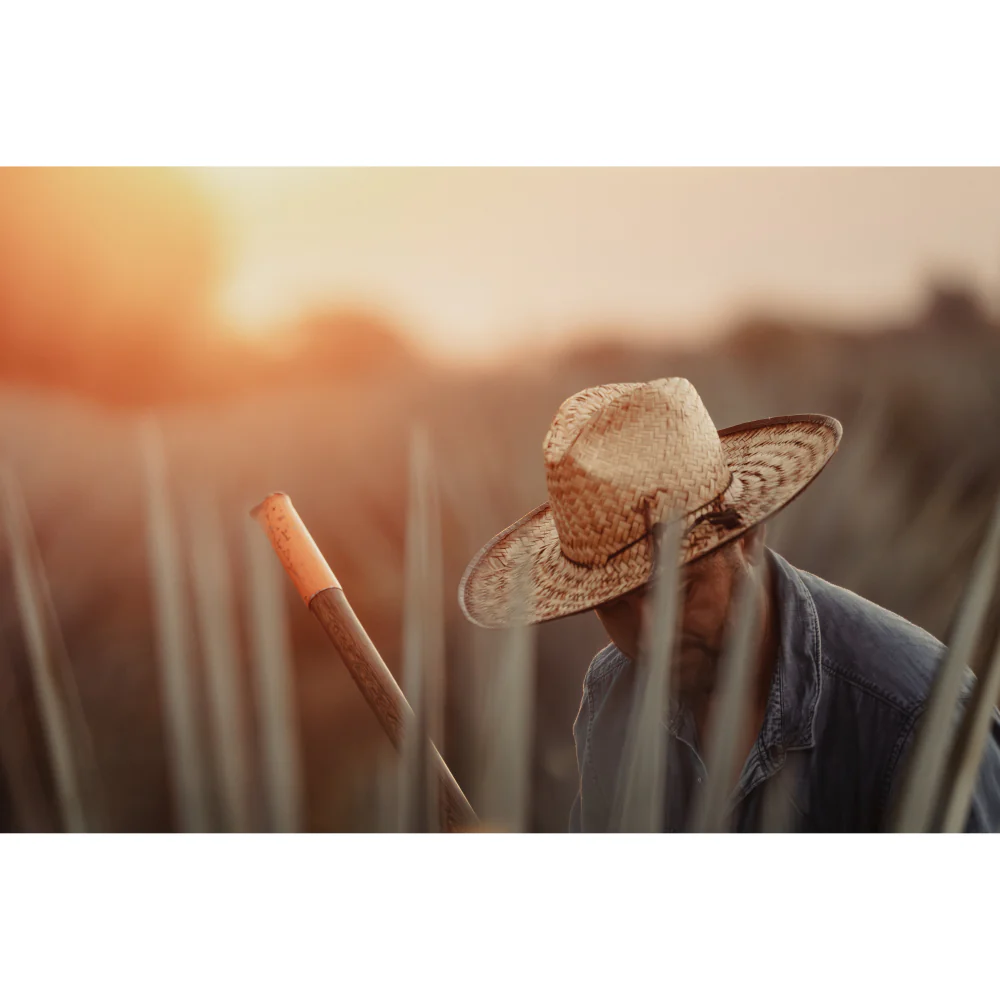 PolarPro Goldstache Filter Threaded - Image 13