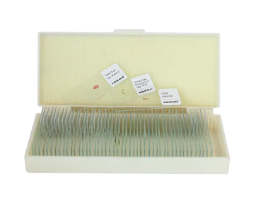 Saxon Animal Biological Microscope Prepared Slides (50pcs) - Image 2