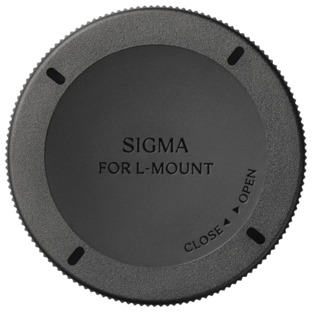 Sigma 16-300mm f/3.5-6.7 DC OS Contemporary Lens (L-Mount) - Image 8