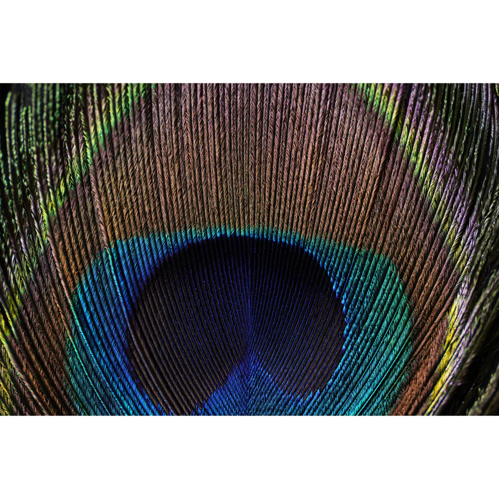 Sony FE 100mm f/2.8 GM Macro OSS Lens - Image 12