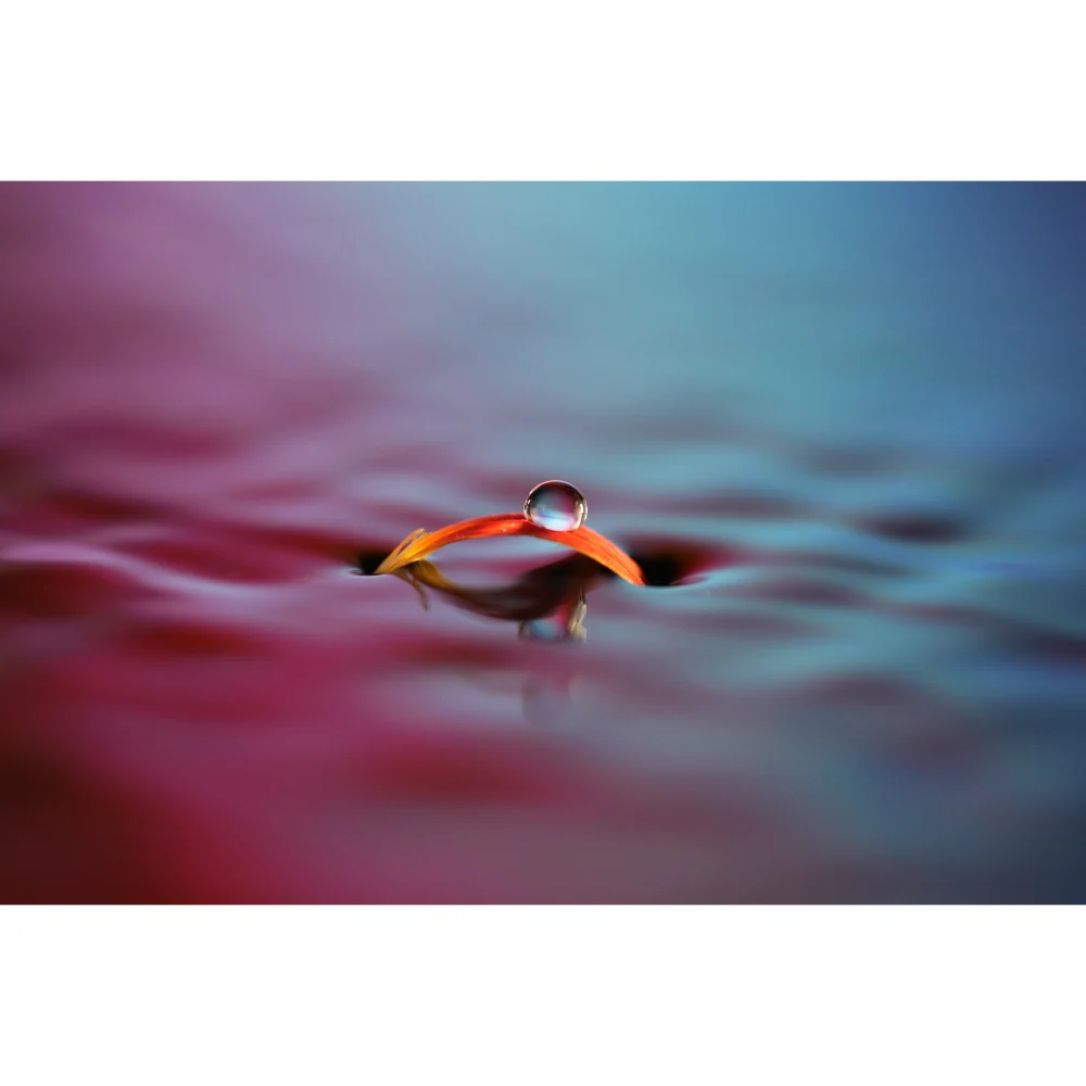 Sony FE 100mm f/2.8 GM Macro OSS Lens - Image 15