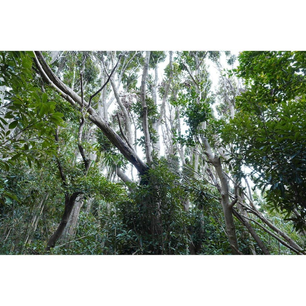 Sony E 15mm F1.4 G Lens - Image 10