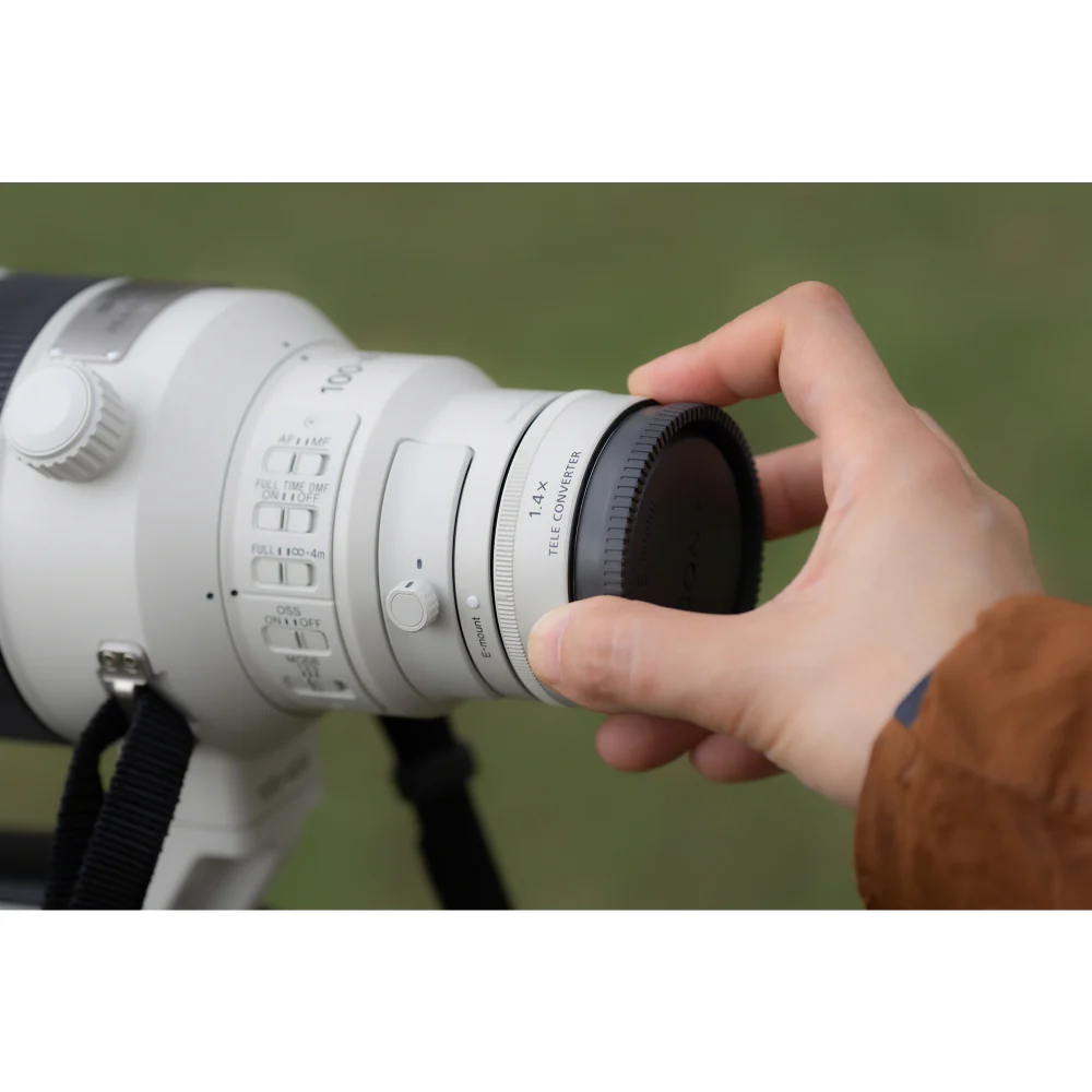 Sony FE 100-400mm f/4.5 GM OSS Lens - Image 24