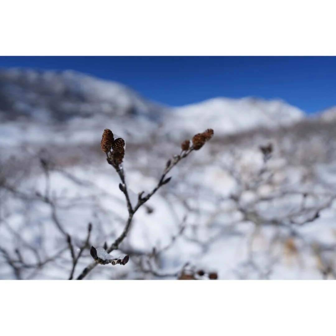 Sony FX30 with FE 16-25mm f/2.8 G Lens - Image 21